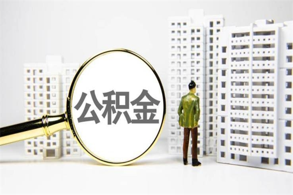 呼和浩特代提公积金（代提公积金犯法吗）